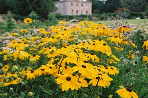 walled garden