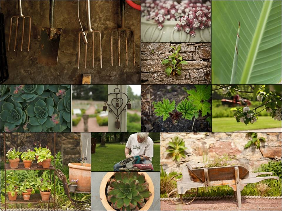 garden collage