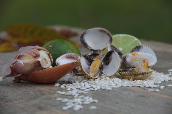 shellfish