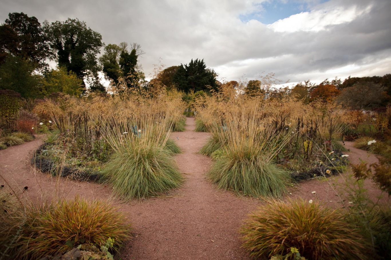 Prairie Garden