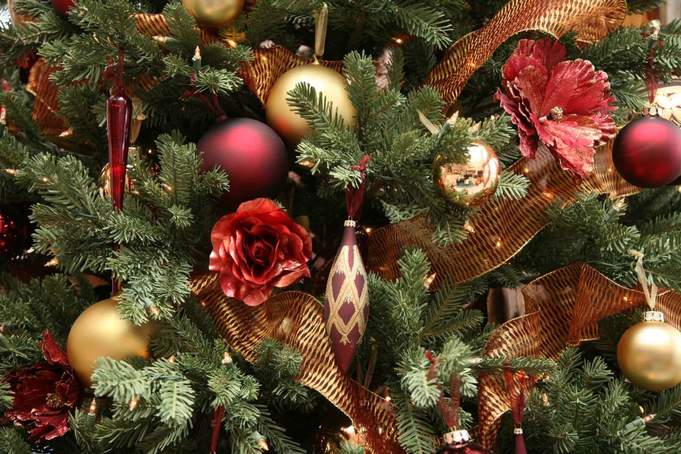 christmas-tree-close-up-7