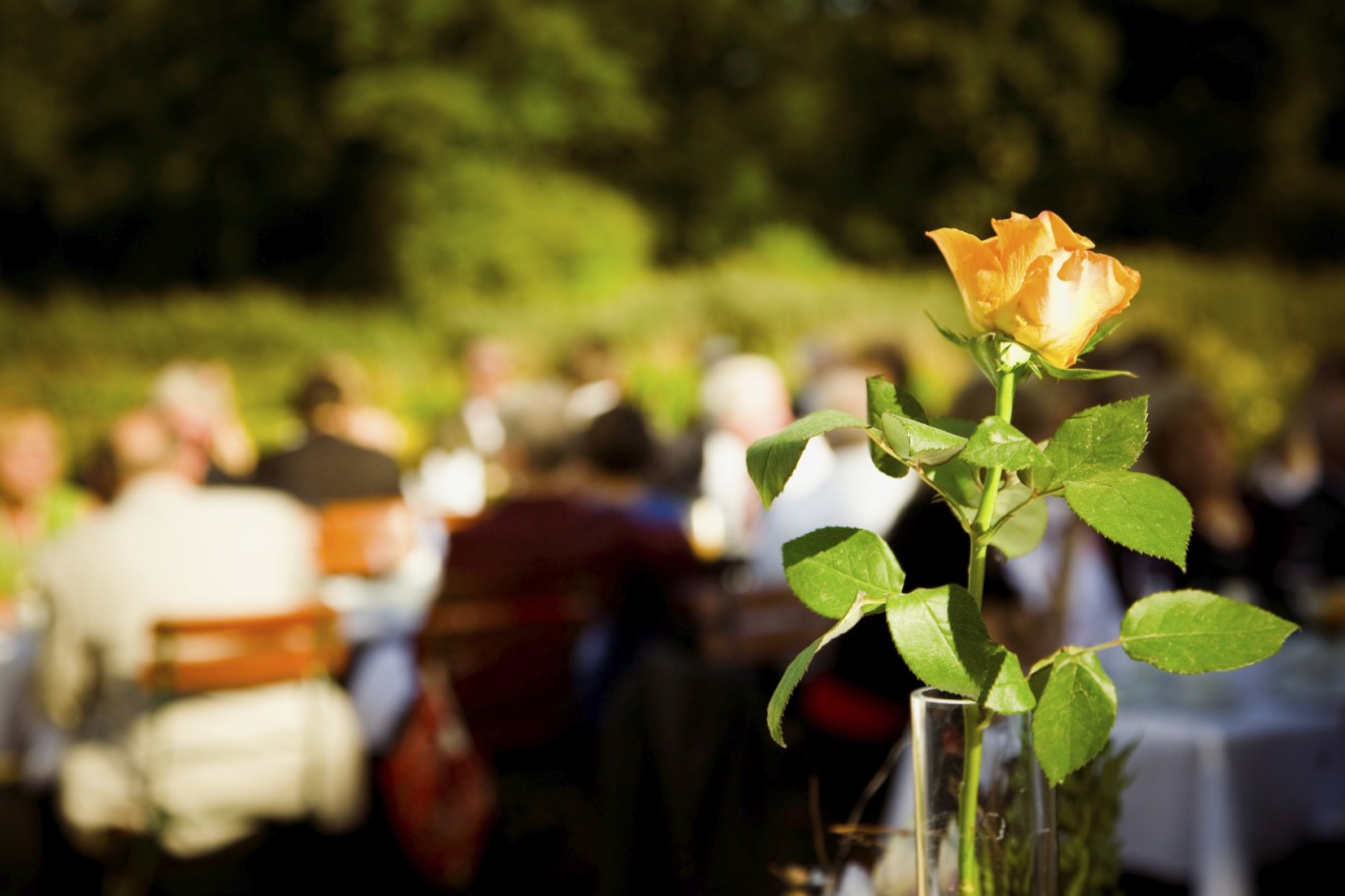 Boath House Garden Lunch party