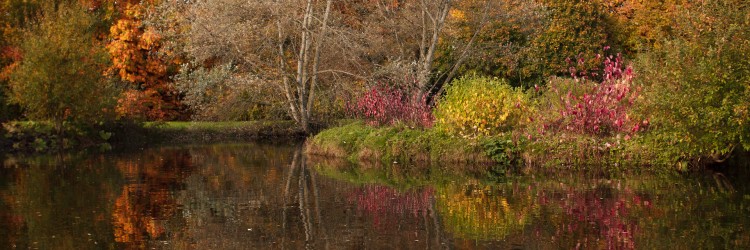 Autumn by the lake